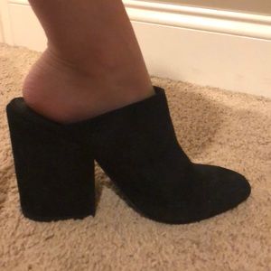 steve madden ditty mule